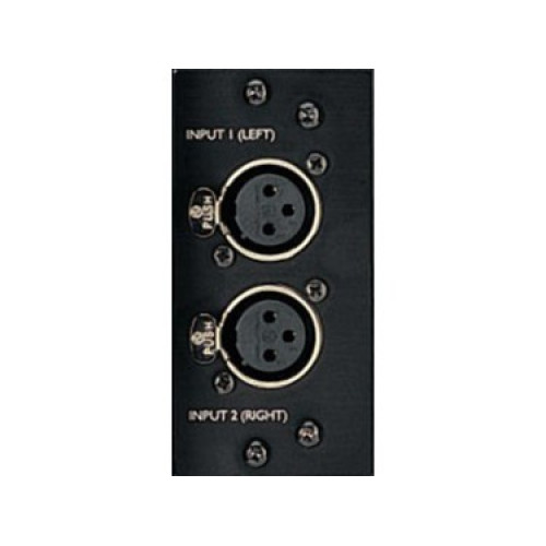 Dynaudio AD-AIR 24/96 2-канальный модуль аналоговых входов для Master Monitors Dynaudio AD-AIR 24/96 2-канальный модуль аналоговых входов для Master Monitors