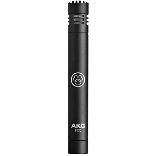 AKG P170 инструментальный конденсаторный микрофон, кардиоидная направленность AKG P170 инструментальный конденсаторный микрофон, кардиоидная направленность