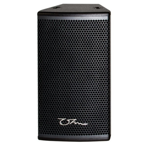 Ohm CT-10 двухполосная акустическая система, 300 Вт RMS