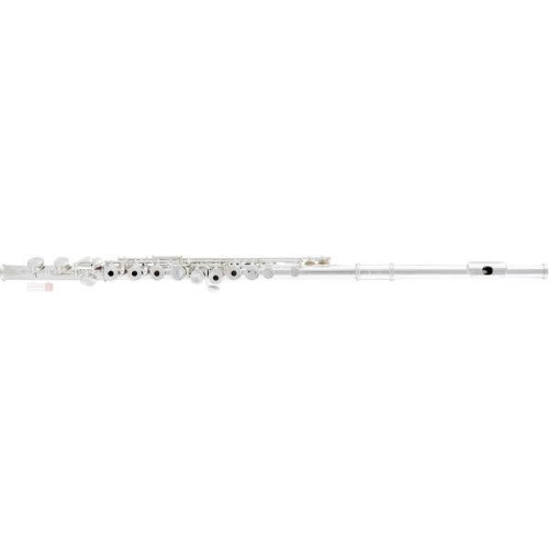 Arnolds&Sons AFL-220RE флейта С, с резонаторами, посеребреная