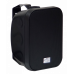 SVS Audiotechnik WSP-60 Black громкоговоритель настенный, динамик 5.25", цвет черный SVS Audiotechnik WSP-60 Black громкоговоритель настенный, динамик 5.25", цвет черный