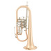 Arnolds&Sons AFH-655 флюгельгорн Bb студенческий, раструб 154 мм, триггер Arnolds&Sons AFH-655 флюгельгорн Bb студенческий, раструб 154 мм, триггер
