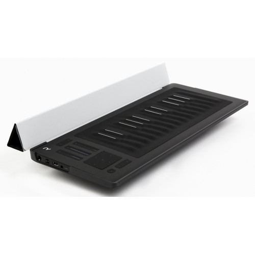 Roli Flipcase Silver защитный кейс для Rise 25, цвет серебристый Roli Flipcase Silver защитный кейс для Rise 25, цвет серебристый