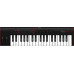 IK Multimedia iRig Keys 2 USB MIDI-клавиатура для Mac/PC и iOS/Android IK Multimedia iRig Keys 2 USB MIDI-клавиатура для Mac/PC и iOS/Android