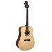 Dowina D-111 S Limited Edition акустическая гитара Dowina D-111 S Limited Edition акустическая гитара