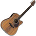 Greg Bennett D12CE Greg Bennett D12CE