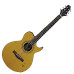 Greg Bennett SMJ13CE Greg Bennett SMJ13CE