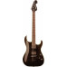 Washburn X50PROFE (TBK,TRK,NK) электрогитара с чехлом Washburn X50PROFE (TBK,TRK,NK) электрогитара с чехлом