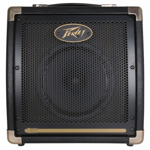 Peavey Ecoustic E20 комбоусилитель для акустической гитары, 2 канала, 20 Вт Peavey Ecoustic E20 комбоусилитель для акустической гитары, 2 канала, 20 Вт