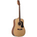 Washburn D10SDL акустическая гитара Dreadnought Washburn D10SDL акустическая гитара Dreadnought