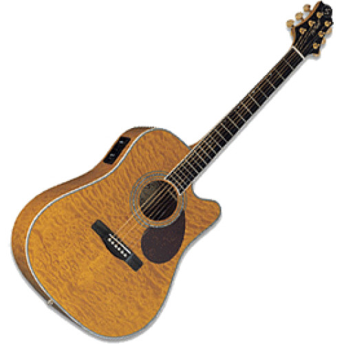 Greg Bennett D11CE/AN Greg Bennett D11CE/AN