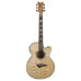 Dean PE QA GN - электроакустическая гитара Dean PE QA GN - электроакустическая гитара