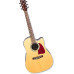 Ibanez AW10ECE Natural акустическая гитара Ibanez AW10ECE Natural акустическая гитара