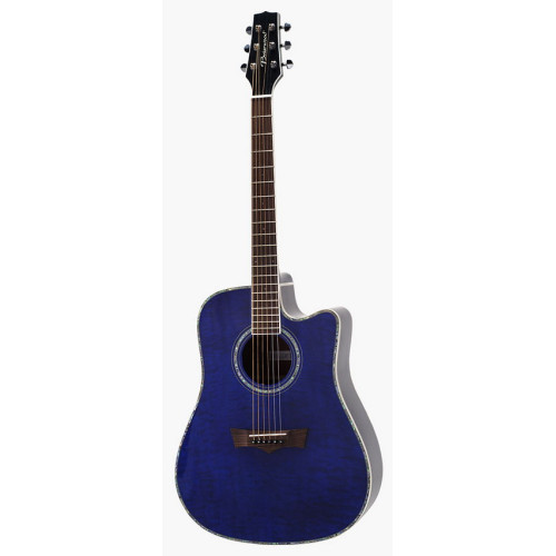 Peavey Briarwood DR-5CA EQ QT