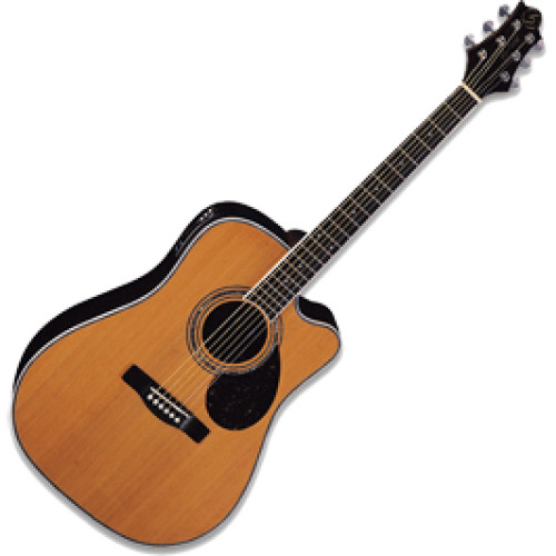 Greg Bennett D7CE Greg Bennett D7CE