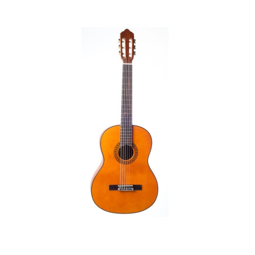 Barcelona CG30 3/4 Классическая гитара Barcelona CG30 3/4 Классическая гитара