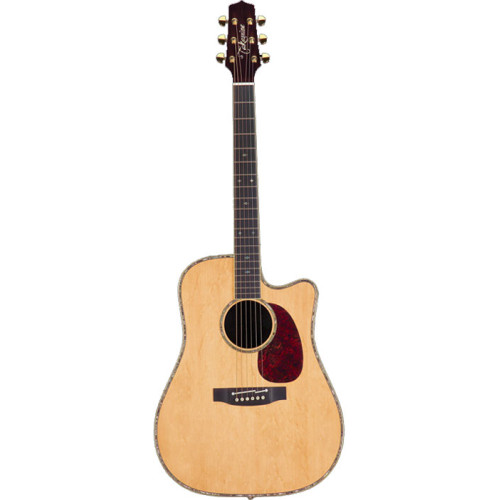 Takamine TNV360SC NASHVILLE SERIES AC / EL GUITAR W / CASE электроакустическая гитара с кейсом Takamine TNV360SC NASHVILLE SERIES AC / EL GUITAR W / CASE электроакустическая гитара с кейсом