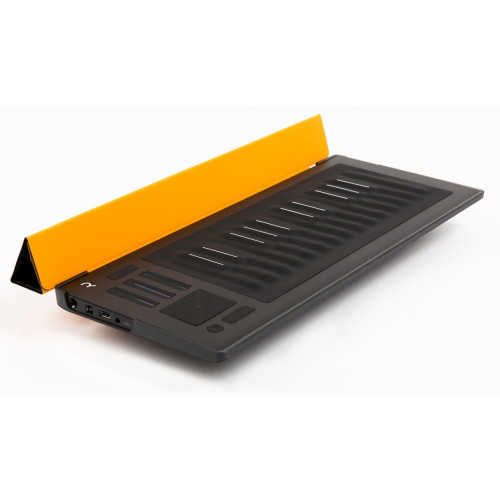 Roli Flipcase Amber защитный кейс для Rise 25, цвет янтарный Roli Flipcase Amber защитный кейс для Rise 25, цвет янтарный