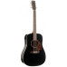 Norman Protege B18 Cedar Black Presys электроакустическая гитара Dreadnought, цвет черный Norman Protege B18 Cedar Black Presys электроакустическая гитара Dreadnought, цвет черный