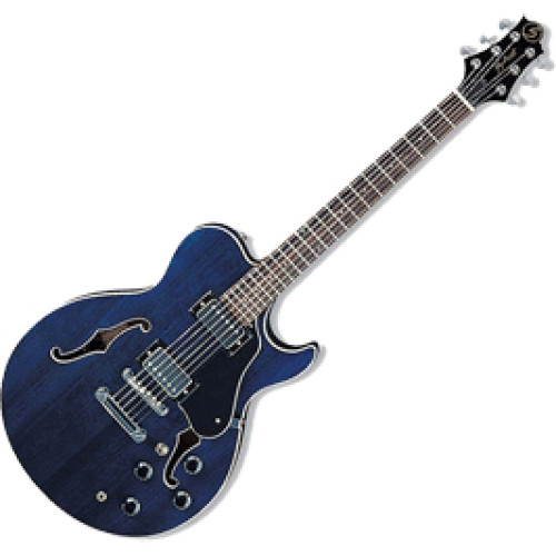Greg Bennett RL1/TS Greg Bennett RL1/TS