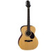 Greg Bennett D2CE/BK Greg Bennett D2CE/BK