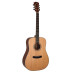 Dowina D-111 CED Limited Edition акустическая гитара Dowina D-111 CED Limited Edition акустическая гитара