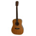 Dowina D333CED Limited Edition акустическая гитара Dowina D333CED Limited Edition акустическая гитара