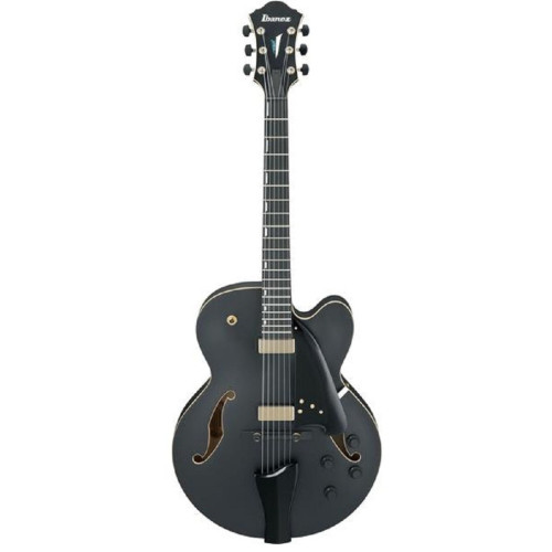 Ibanez AFC125-BKF Archtop полуакустическая электрогитара, цвет черный Ibanez AFC125-BKF Archtop полуакустическая электрогитара, цвет черный