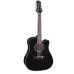 Greg Bennett D9/12CE Greg Bennett D9/12CE