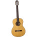 Washburn WC90Pack классическая гитара с аксессуарами Washburn WC90Pack классическая гитара с аксессуарами