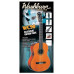 Washburn WC90Pack классическая гитара с аксессуарами Washburn WC90Pack классическая гитара с аксессуарами