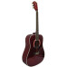 Washburn D2001 (PWH, MBL, MC) акустическая гитара Washburn D2001 (PWH, MBL, MC) акустическая гитара
