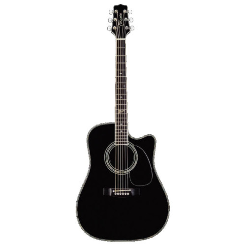 Takamine SW341SC ARTIST SERIES электроакустическая гитара с кейсом Takamine SW341SC ARTIST SERIES электроакустическая гитара с кейсом