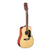 Washburn D10S12 Springfield 12-стр. акуст.гитара Dreadnought. верх-ель(массив), корп. и гриф-кр.дер, накл.-палисандр Washburn D10S12 Springfield 12-стр. акуст.гитара Dreadnought. верх-ель(массив), корп. и гриф-кр.дер, накл.-палисандр