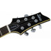 Schecter C-1 Standard DMB электрогитара