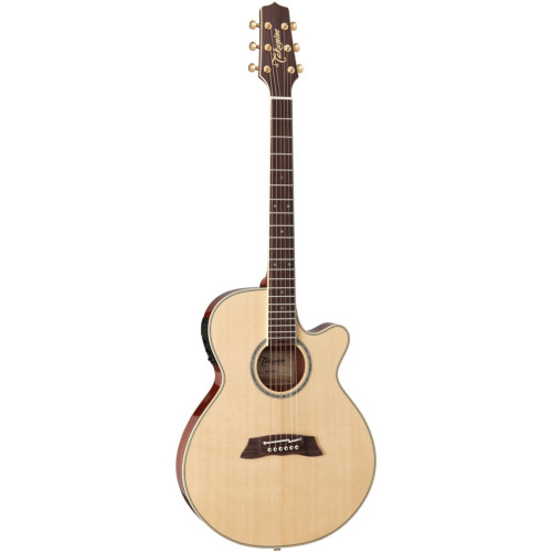 Takamine TSP138CN электроакустическая гитара, в комплекте кейс Takamine TSP138CN электроакустическая гитара, в комплекте кейс