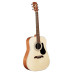 Alvarez RD9VP акустическая гитара Alvarez RD9VP акустическая гитара