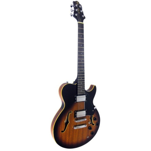 GregBennett RL1/BS полуакустическая электрогитара, цвет коричневый санбёрст GregBennett RL1/BS полуакустическая электрогитара, цвет коричневый санбёрст