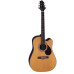 Greg Bennett D14CE Greg Bennett D14CE