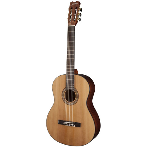 Takamine Jasmine JC27 акустическая гитара Takamine Jasmine JC27 акустическая гитара