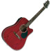 Greg Bennett D4CE/TR