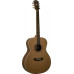 Washburn WMJ21S акустическая гитара Washburn WMJ21S акустическая гитара