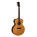 Dowina J 555 акустическая гитара Dowina J 555 акустическая гитара