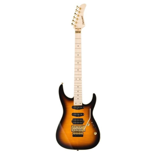 Fernandes FR Standard TS/M электрогитара, цвет санбёрст Fernandes FR Standard TS/M электрогитара, цвет санбёрст