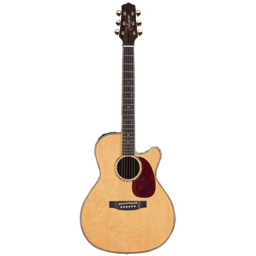 Takamine TNV760SC электроакустическая гитара с кейсом Takamine TNV760SC электроакустическая гитара с кейсом