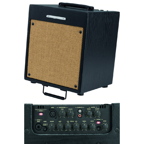 Ibanez T35 Acoustic Combo усилитель гитарный, комбо Ibanez T35 Acoustic Combo усилитель гитарный, комбо