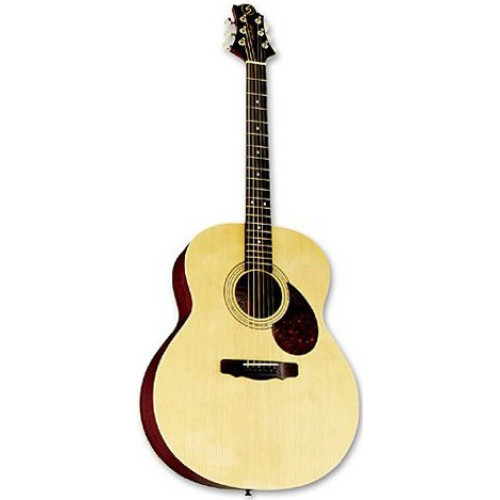 Greg Benett GJ100S/N акустическая гитара Greg Benett GJ100S/N акустическая гитара