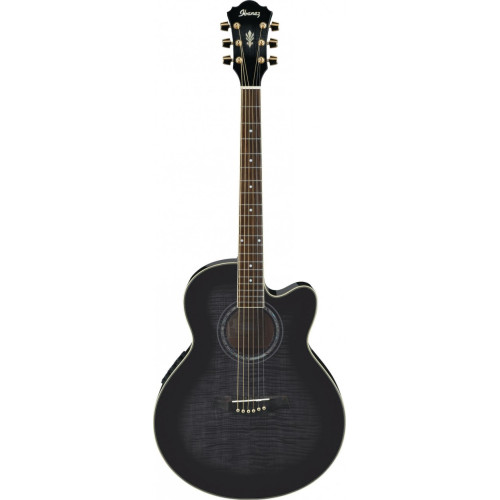 Ibanez AEL20E-TKS электроакустическая гитара Ibanez AEL20E-TKS электроакустическая гитара