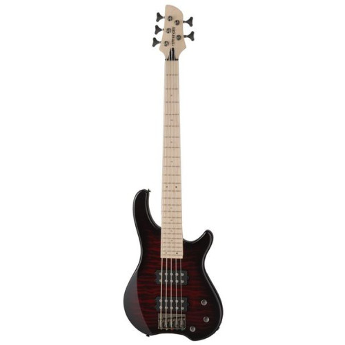Fernandes T5X(08)BCS 5-струнный бас Tremor 5X, Black Cherry Fernandes T5X(08)BCS 5-струнный бас Tremor 5X, Black Cherry