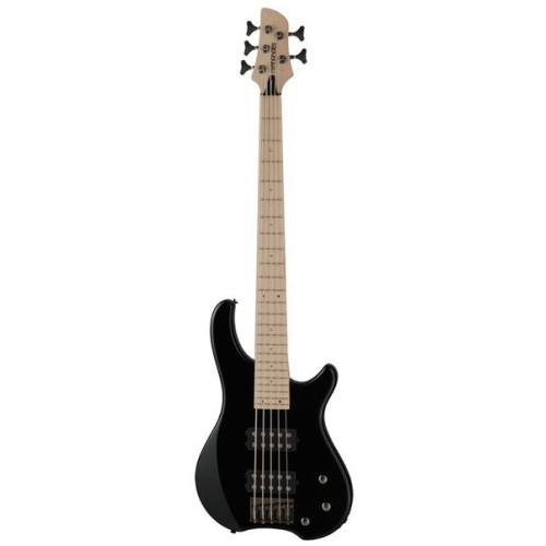 Fernandes T5X(08)BLK 5-струнный бас Tremor 5X, Black Fernandes T5X(08)BLK 5-струнный бас Tremor 5X, Black